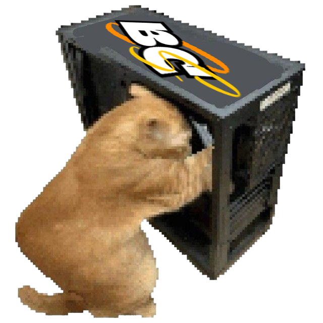 Крутая пикча с котом-разработчиком